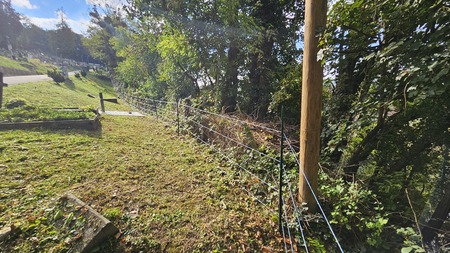 Pokopališče Lendava spodnje - postavitev el.pastirja2